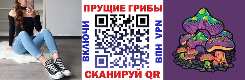 цена наркотик  Лесной  Галлюциногенные грибы GOLDEN TEACHER 